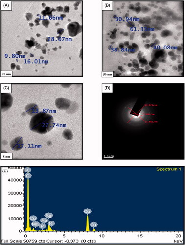 Figure 6. TEM images (A, B and C) at different magnifications (D) SAED patterns and (E) EDX spectrum of AgNPs.