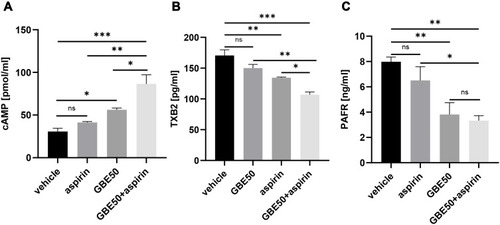 Figure 7 Effects of GBE50, aspirin and their combination on synthesis of cAMP and TXB2, and expression of PAFR.