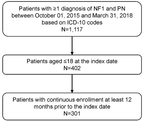 Figure 1 Patient selection flow chart. The index date was defined as the date of the first diagnosis of NF1 or PN during the study period, whichever occurred later.