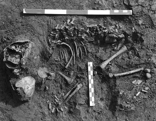 Figure 1. Photograph of an in-situ burial of an Iron Age fetal–infant individual at the site of Piddington, Northamptonshire. The individual was excavated and recovered as part of the ongoing rescue excavations in 2019 (Photograph taken by the author).