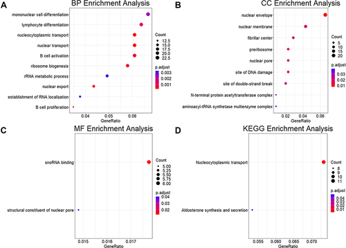 Figure 3 Functional enrichment analysis of the core genes of NAG. (A–C) Functional description of the core genes of NAG in BP, CC, and MF. (D) Pathways involved in core genes of NAG.