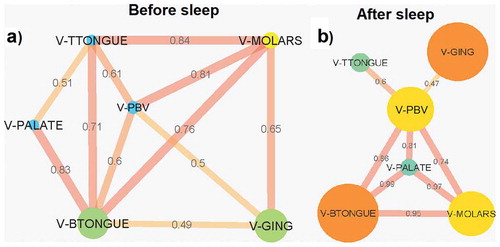 Figure 8. Pearson correlation coefficient VLP abundance networks (p < 0.05 filtered). Networks show the Pearson correlations between VLP abundances for all samples locations (a) before sleep and (b) after sleep. Each node (circles) represents a sample location within the paediatric oral cavity. Node size is proportional to VLP abundance at that location. The edges (lines) connecting each node represent a significant Pearson correlation (p < 0.05) in VLP abundances between oral sites. The thickness of the edge relates to the strength of the Pearson correlation coefficient. V-GING = VLP at the gingiva, V-PBV = VLP at the posterior buccal vestibule, V-PALATE = VLP at the palate, V-MOLARS = VLP at the molars, V-TTONGUE = VLP at the tip of the tongue and V-BTONGUE = VLP at the back of the tongue