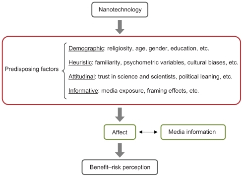 Figure 1 The perception of nanotechnology benefits and risks is influenced by personal predisposing factors (age, gender, education, familiarity, etc) directly through internal processes (affect) and indirectly through external processes (ensemble of media information related to nanotechnology). The affect-media information relationship is bidirectional. Affect may influence the information-seeking behavior of people, but, in return, information, especially that from media aimed to create feelings more than information, may shape our affective processes.