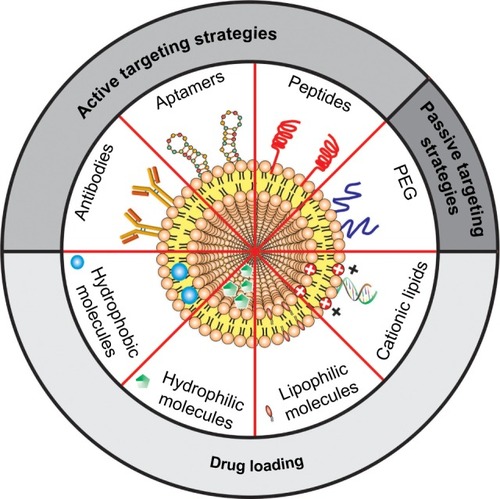 Figure 2 Schematic representation of the main liposomal drugs and targeting agents that improve liposome affinity and selectivity for brain delivery.Abbreviation: PEG, polyethylene glycol.