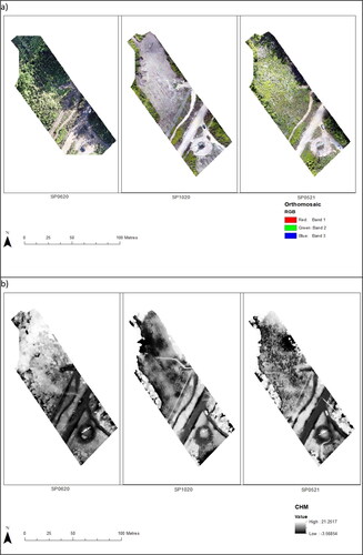 Figure 13. (a) Depicts the orthomosaic RGB images for their southern section (from L to R) in June 2020, October 2020 and May 2021, (b) depicts the CHM for the southern tower span in June 2020, October 2020 and May 2021.