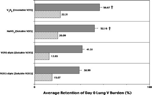 FIG. 3 Average retention of V in the lungs of Listeria-infected rats in each V treatment group. Each bar represents the average retention (%; ± SE) of Day 0 burden in the lungs of n = 8–10 Day 3 rats per treatment with V2O5 (insoluble V[V]), NaVO3 (soluble V[V]), VIII dipic, or VIV dipic. Data analyzed in terms of ng V (solid bar) or of ng V/g lung (hatched bar). †Value significantly (p < 0.05) different from that in rats in the soluble VIII and VIV groups.