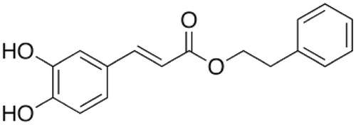 Figure 1. The chemical structure of caffeic acid phenethyl ester (CAPE).