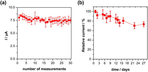 Figure 10. Biosensors current response towards 5 mM glucose in 0.1 M PB(aq) pH 7 (E = +0.77 V vs Ag/AgCl) (a) for 30 times repetitive measurements (n = 2) and (b) through 27 days storage (n = 2).