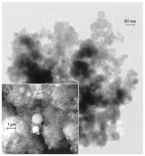 Figure 9 Transmission electron microscopy image for nano-Fe powder with field-emission scanning electron microscope image insert showing nanoparticulate aggregation.