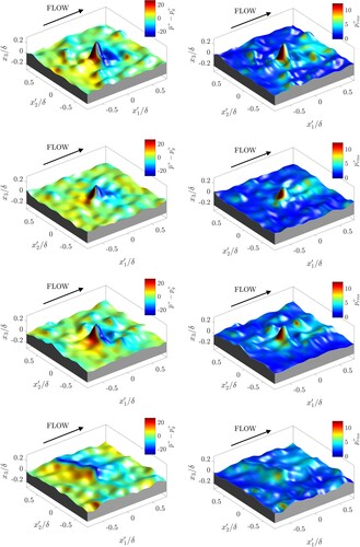 Figure 12. Surface pressure distributions for Ssk≥0 centred about the highest peak. Left column: time-averaged pressure on surface; right column: time-averaged pressure fluctuations at surface. From top to bottom: Ssk = +2.3, Ssk = +1.5, Ssk = +1.0, and Ssk = 0.0.