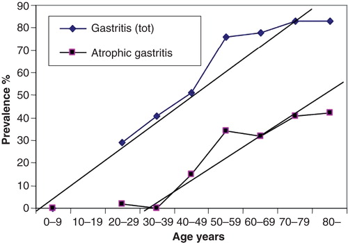 Figure 4. Mean age-specific prevalence of total chronic gastritis and atrophic gastritis in biopsy samples from ∼500 consecutive endoscopy Finnish outpatients in the late 80s (Jorvi hospital, Espoo, Finland). The mean prevalences increase with age.