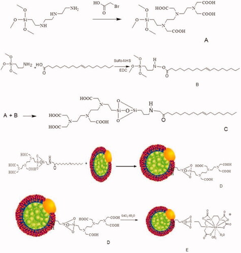 Figure 1. Scheme of nanoprobe synthesis.