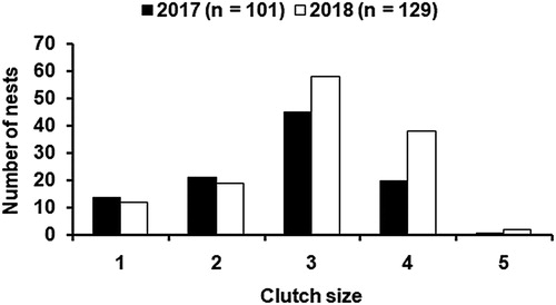 Figure 4. Frequency distribution of Indian Skimmer clutch sizes along the Mahanadi River in Odisha, eastern India during 2017 and 2018.