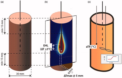 Figure 2. The two main experimental setups to characterize the heating properties of an interstitial applicator. (a) Schematic setup to determine the effective heating length and the average temperature rise (aTR) in muscle equivalent phantoms, (b) Determination of the effective heating length in a solid phantom and using infrared imaging (ΔTmax ≥ 6 °C), (c) Calorimetric setup to determine the applicator efficacy in a liquid phantom for 6 min heating time. The temperature–time profile must be measured 5 min before and after the heating and continuing during heating while continuously homogenizing the liquid to obtain the correct average temperature. The minimum average ΔT must be 6 °C.