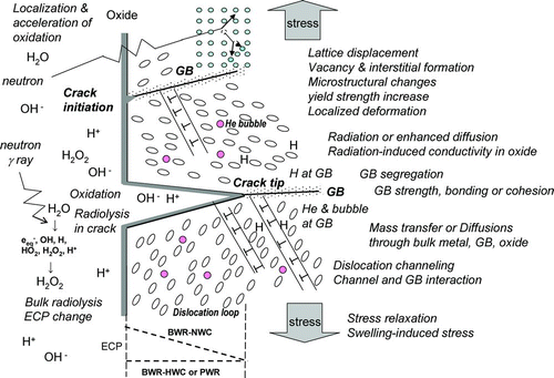 Figure 25 Schematic illustration depicting various processes related to IASCC