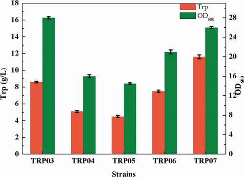 Figure 4. Effect of different modifications of central metabolic pathway on the titer of tryptophan.