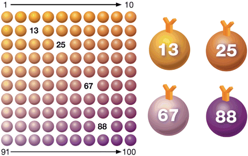 Figure 1.  Multiplex immunoassay technology. Beads are colored internally with two different fluorescent dyes (red and infrared). Ten different concentrations of red and infrared dyes are used to generate 100 distinct bead regions. Each bead region is conjugated to a specific target analyte.
