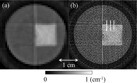 Figure 8. Energy-resolved CT images reconstructed by X-rays in the energy range E3 of Table 1 measured by (a) lattice- and (b) band-transXend detectors. Three white lines in (b) show the places where spatial resolutions are estimated.