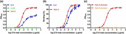 Figure 4. The binding characteristics of purified C14mab. (a) The microplates were coated with human IL-6 (20 ng/well), HyIL-6 (60 ng/well), and IL-6 Rα (40 ng/well). Serial dilutions of C14mab were added for 1 hr at room temperature. The binding ELISA data is graphed with OD450 readings and their associated binding percentages vs. log antibody concentration. Data are compiled from three independent experiments. Values represent the mean ± SEM. (b) Data were normalized to maximum signal for IL-6 and HyIL-6 individually. EC50 values were obtained by nonlinear regression fitting to a variable slope, four-parameter dose-response model using the GraphPad Prism software (San Diego, CA, USA). (c) The binding of mouse HyIL-6 (60 ng/well) with C14mab was measured by ELISA as described in (a). Values represent the mean ± SEM from three independent experiments. Fig. (a) Comparative line graphs plotting absorbance (OD450) observed of IL-6 and HyIL-6 from log C14 mab concentrations. Fig. (b) Comparative line graphs plotting binding percentage of IL-6 and HyIL-6 from log C14 mab concentrations. Fig.(c) Comparative line graphs plotting absorbance (OD450) observed of HyIL-6 Human and HyIL-6 Mouse from log C14 mab concentrations.