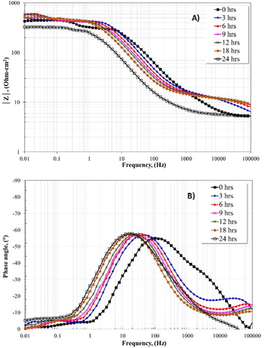 Figure 8. Bode plots for the 1018 carbon steel electrode in 3% NaCl + 10% diesel with CO2 at 50°C without inhibitor and for different times.