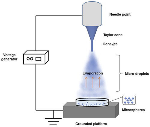Figure 5. Schematic of the electrospray process for preparing PLGA microspheres.