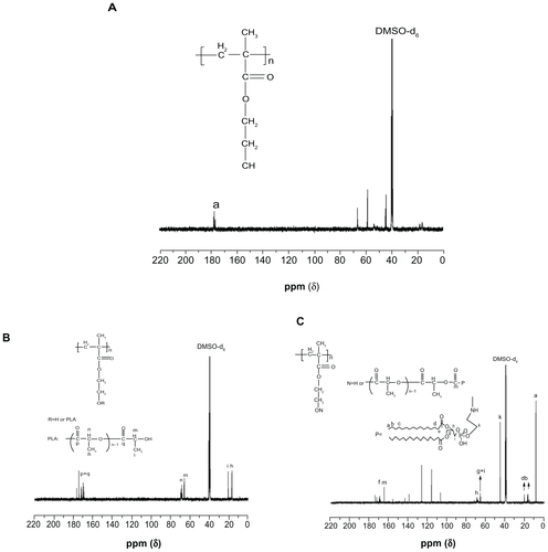 Figure S1 13C NMR spectra of PHEMA (A), PHEMA-PLA (B), and PHEMA-g-(PLA-DPPE) copolymers (C).Abbreviations: PHEMA, poly (2-hydroxyethyl methacrylate; PLA, poly (lactide)-1; DPPE, 2-dipalmitoyl-sn-glycero-3-phosphoethanolamine.