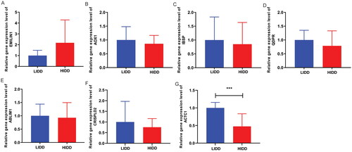 Figure 9. The expression levels of EMILIN1 (A), AOX1 (B), IBSP (C), QDPR (D), ABLIM1 (E), CRISPLD2 (F) and ACTC1 (G) were verified by real-time PCR.LIDD: low-grade intervertebral disc degeneration; HIDD: high-grade intervertebral disc degeneration. ***p < .001.