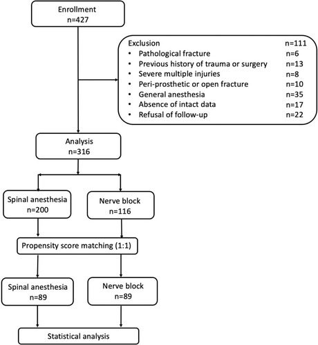 Figure 1 Flowchart of the present study.