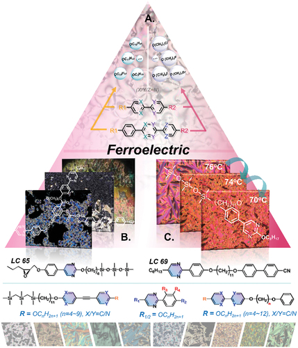 Figure 6. (Colour online) The schematic exhibition of pyrimidine-based liquid crystalline structures and mesophases for ferroelectric application.
