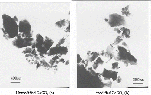 FIGURE 3 TEM images of unmodified and modified calcium carbonate.
