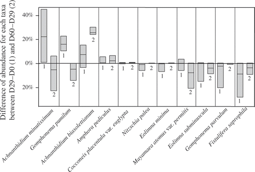 Fig. 1. Changes in relative abundance of the dominant taxa in the transferred biofilms. For each taxon, the 1st box (1) corresponds, for each taxon, to the difference of cells density between the 29th and the 1st day, and the 2nd box (2) corresponds to the difference between the 60th and the 29th day of the experiment. The differences are calculated from the transferred biofilms: boxes indicate the 25th and the 75th percentile and the bar in the box the median value.