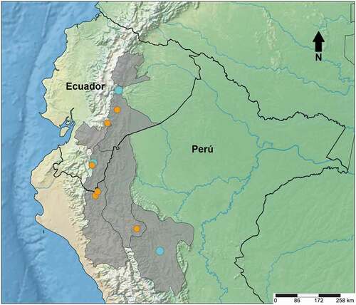 Figura 7. Mapa de distribución de Epidendrum pseudapaganum (en naranja) y Sobralia turkeliae (en azul). En gris se resaltan las provincias Tungurahua, Morona Santiago, Azuay y Zamora Chinchipe; mientras que en Perú los departamentos de Cajamarca, Amazonas y San Martín