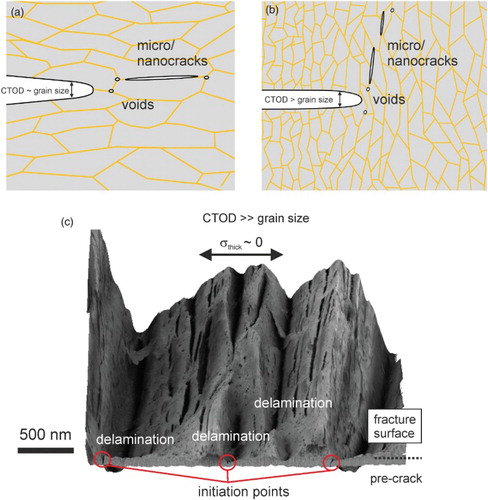 Figure 5. Brittle failure type in NC and UFG metals. (a) Intergranular fracture along the elongated grains. (b) Crack branching into the direction of grain alignment with higher fracture toughness and intergranular fracture. (c) Crack-divider orientation with local crack branching and delamination formation causing a decrease of the through-thickness stress component.