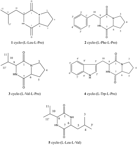 Figure 1 The structure of diketopiperazines isolated from spent culture medium of S. fungicidicus.