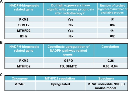 Figure 8 Cancer-specific NADPH-biogenesis screen continued.