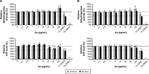 Figure 1 Biocompatibility of AuroVist™ 1.9 nm and 15 nm on murine macrophages.Notes: J774A.1 cells were incubated for either 24 hours or 48 hours with increasing concentrations of AuroVist™ (A) 1.9 nm or (B) 15 nm nanoparticles. Relative cellular dehydrogenase activity and ATP level after NP co-incubation were assessed and were referred to the data of untreated control cells. Cell medium containing 1% and 5% DMSO was used for cell-death positive control. Three independent experiments with six repetitions each were performed. Results are represented as mean value ± standard deviation, and significant values (*P≤0.05) are compared to untreated control cells.Abbreviations: NP, nanoparticle; DMSO, dimethyl sulfoxide; APT, adenosine triphosphate.