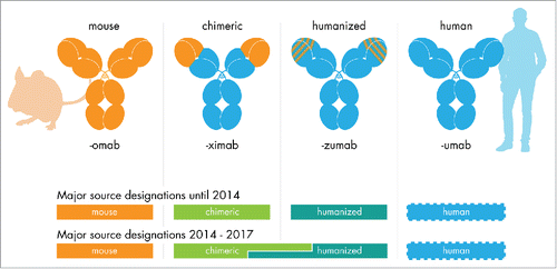 Figure 1. The INN source substem for therapeutic antibodies. Antibody INNs issued until June 2017 (with the exception of the first antibody INN muromonab-CD3) contain a source infix designating the species. The antibody's origin determined the source infix until 2014. For antibody INN issued between 2014 and early 2017, the source infix was determined using a sequence alignment procedure, which led to inconsistent source infix designations for chimeric and humanized antibodies. No definitions to determine a human source existed (see appendix).