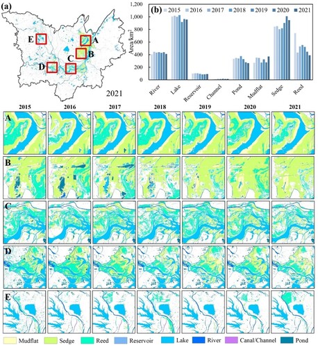 Figure 10. (a)Spatial details of annual refined wetland maps from 2015 to 2021 for five typical sites(A-E) in the DLW and (b) the temporal changes of various wetland area.