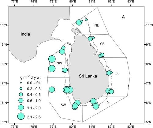 Figure 6. Zooplankton biomass (g dry wt. m−2) in the upper 30 m depth based on in situ data collected from WP2 net in Sri Lankan waters. See Table S1 for more details.