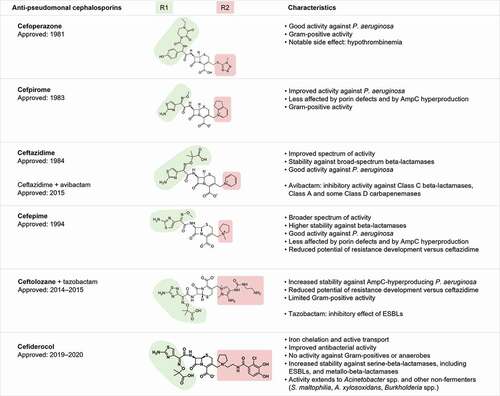 Figure 1. Antipseudomonal cephalosporins and their characteristics.