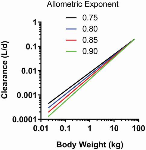 Figure 3. Relationship between clearance and body weight for allometric exponents ranging from 0.75 to 0.90. Human clearance and body weight were fixed to 0.2 L/day and 70 kg, respectively