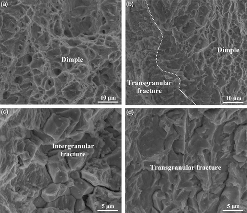 Figure 8. The high magnification fracture morphologies of Zr–Sn–Nb specimens at different partial pressures of iodine. (a) Without iodine; (b) 102 Pa; (c) 103 Pa; (d) 104 Pa.
