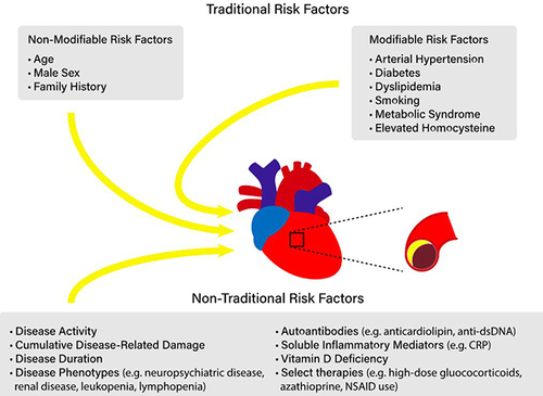 Figure 1 Risk factors for the development of atherosclerotic disease in systemic lupus erythematosus.