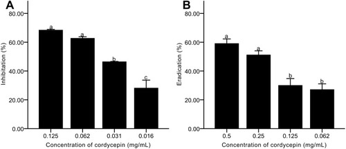 Figure 2 Effects of cordycepin on biofilms of C. albicans. (A) Inhibitory effects on biofilm formation; (B) Eradicating effects on mature biofilms. Error bars represent the standard deviations, and different letters represent statistical differences among bars (n = 3, P < 0.05).
