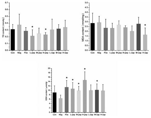 Figure 2. Contents of TG, MDA and GSH in serum of mice.