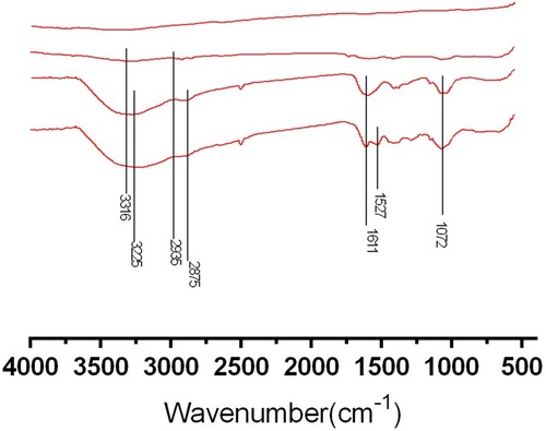 Figure 3 Surface chemical composition analyses by FTIR.Notes: FTIR wide scan spectra of (A) Ti; (B) Ti-PEI, Ti after PEI priming; (C) HA/CS, Ti-PEI coated with multilayer of HA-CS; (D) HA/CS-PAC, Ti-PEI coated with multilayer of HA-CS with PAC-low immobilizationAbbreviations: CS, chitosan; HA, hyaluronic acid; PAC, proanthocyanidins; PEI, polyethyleneimine; Ti, titanium.