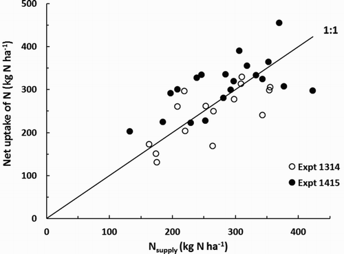 Figure 5. Influence on nitrogen supply (Nsupply) on the net uptake of N by carrot crops in Expt 1314 (at 156 days after sowing (DAS), hollow symbols), and Expt 1145 (at 203 DAS, solid symbols). The plotted line is that for uptake to equal supply.