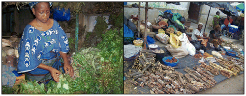 Figure 1. Vendeuses de plantes médicinales des marchés d’Abidjan [Photographies: M. Adiko].Figure 1. Plant retailers in the markets of Abidjan. [Photographs: M. Adiko].