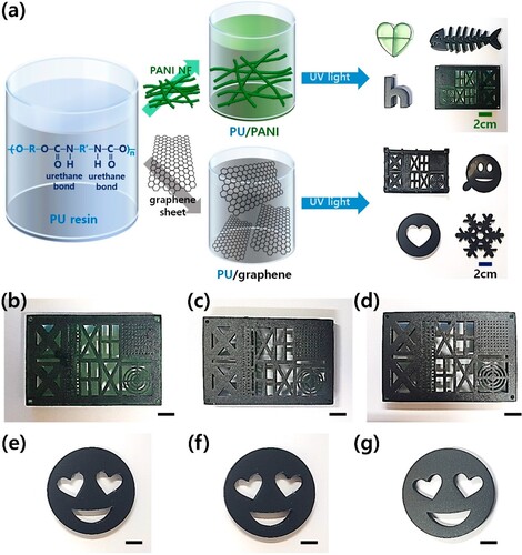 Figure 6. The entire procedure for conductive 3D printing involves the use of polyurethane (PU) resin solutions combined with a mixture of polyaniline (PANI) nanofiber (NF) and a graphene sheet (GS). Presented below are digital images of 3D-printed PU composites featuring various filler contents:(b) 1 wt% PANI, (c) 3 wt% PANI, (d) 6 wt% PANI, (e) 0.33 wt% GS, (f) 1.00 wt% GS and (g) 2.00 wt% GS. The scale bar dimensions for each image are as follows: (b) 1 cm, (c) 1 cm, (d) 1 cm, (e) 1 cm, (f) 1 cm and (g) 1 cm [Citation49].