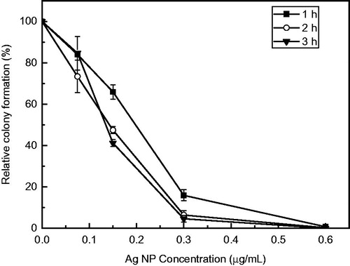 Figure 6. Inhibition of colony formation of E. coli exposed to various concentrations of the synthesized Ag NPs after 1 week of storage under ambient conditions (mean ± SD, n = 3). Relative colony formation is expressed as a percentage of the average number of colonies from nanoparticle-treated microbial suspension compared with the number on the water control.